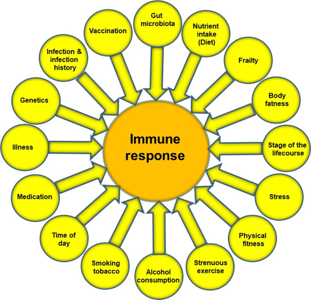 Immunförsvaret